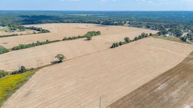 4.91D Acre Mcphail Farm Road, Florala, AL 36442 - #2