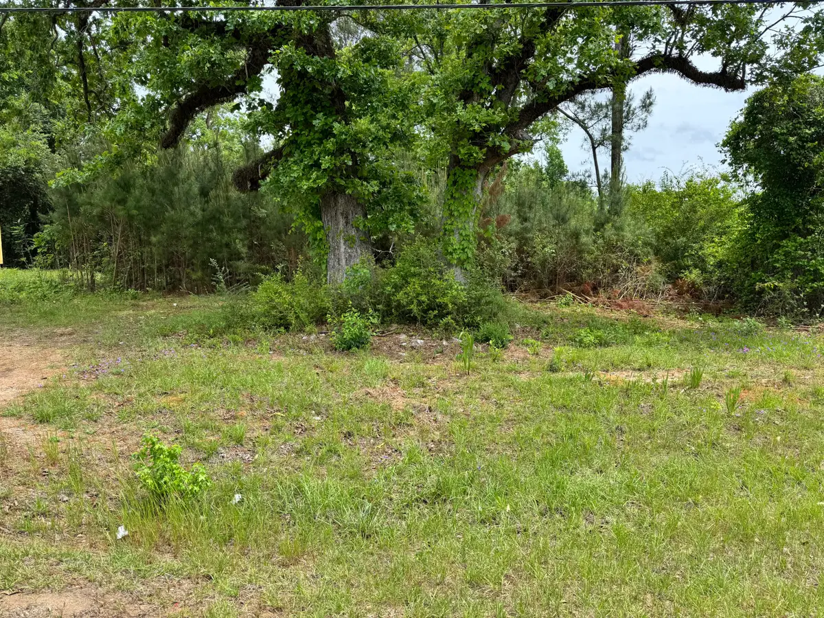 1436 Claxton Avenue, Elba, AL 36323 - #1