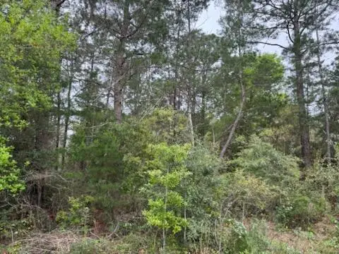 7117 Snug Waters Road, Navarre, FL 32566