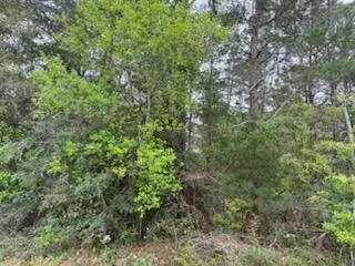 7117 Snug Waters Road, Navarre, FL 32566 - #2