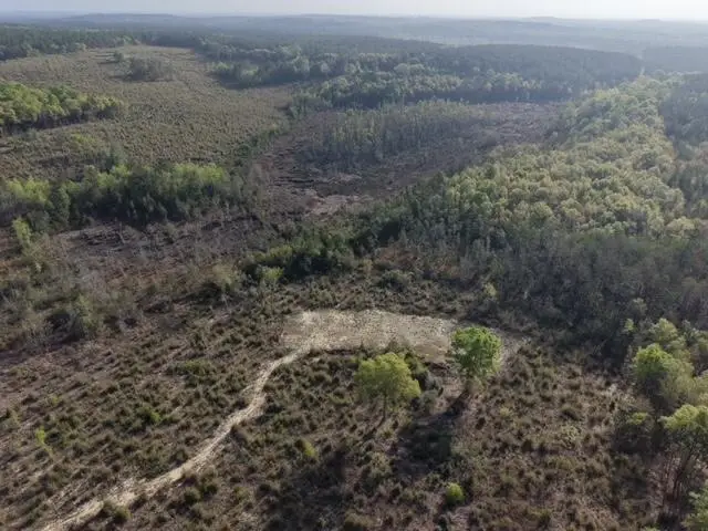 1718 TBD 198 Acres +/-, Westville, FL 32464 - #3