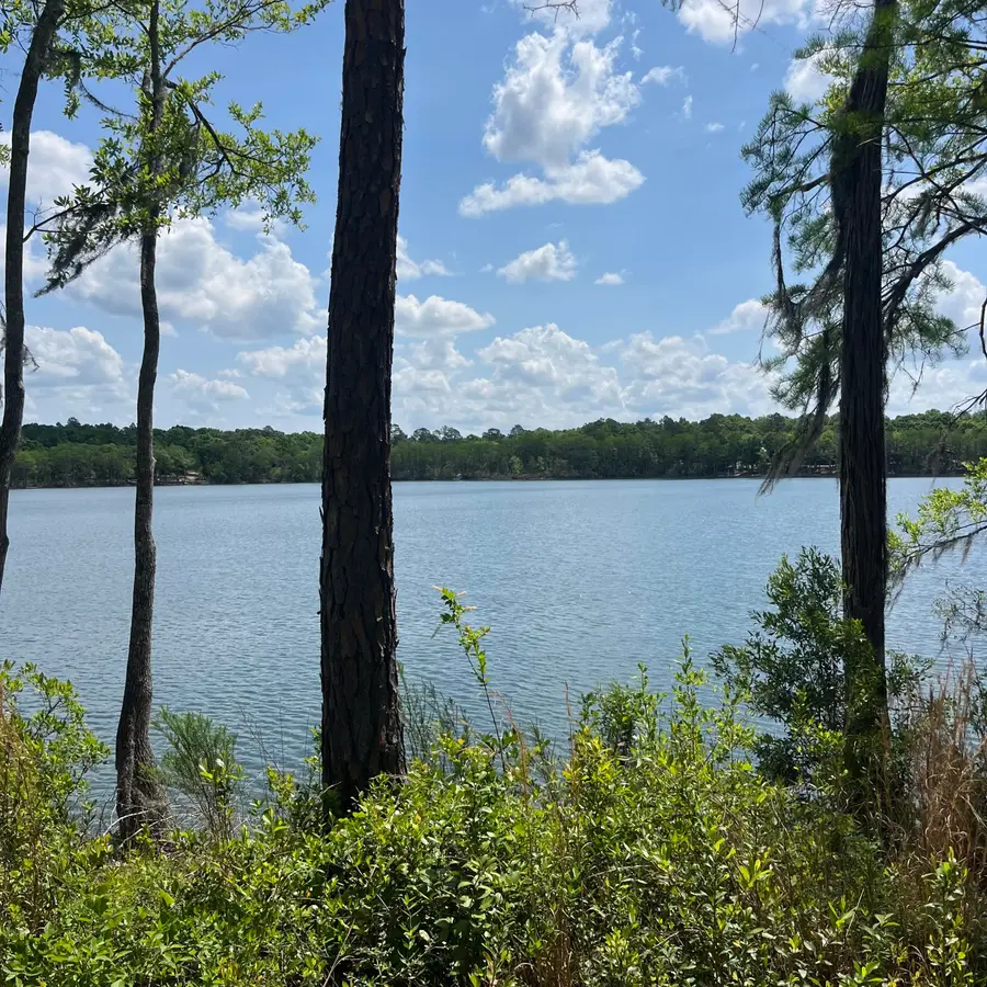 TBD Blue Pond Circle Circle, Ponce De Leon, FL 32455 - #2