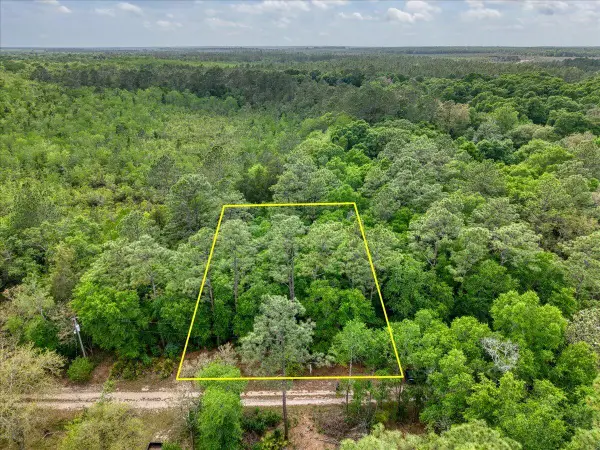 0.17 AC Tango Ln, Harold, FL 32563