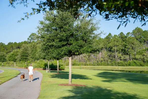 TBD W Elliot Way #Lot 58, Watersound, FL 32461