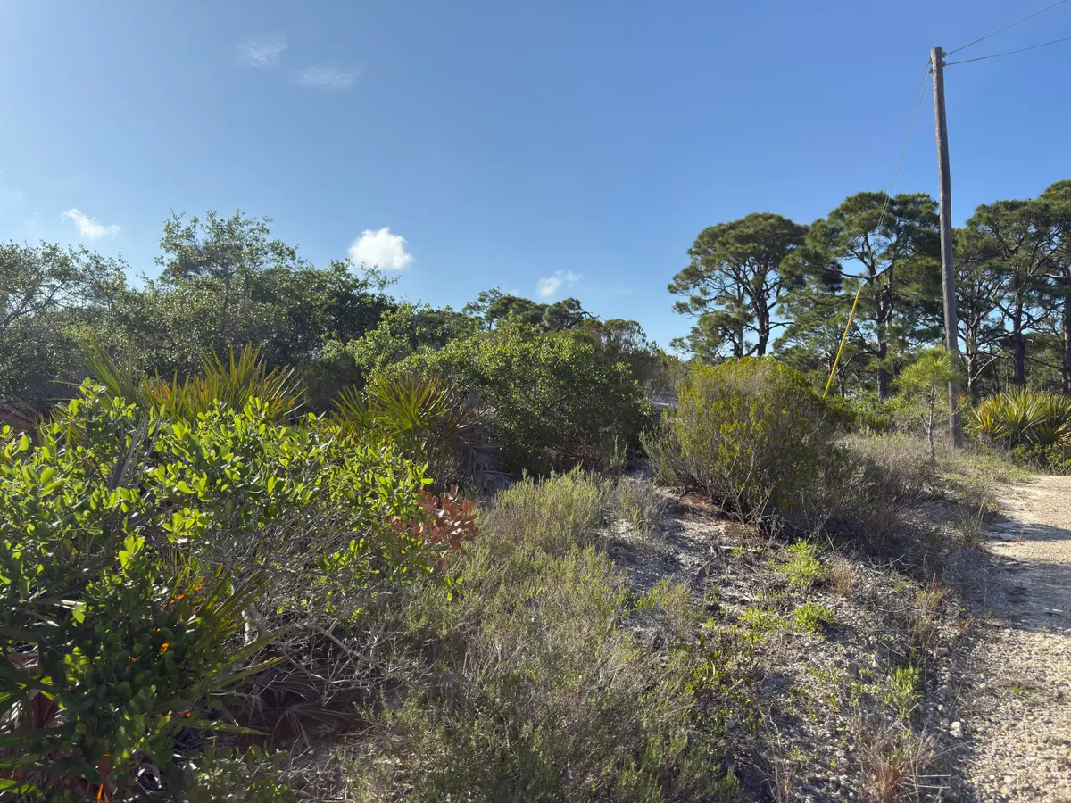 105 Sand Trace Drive, Cape San Blas, FL 32456 - #1