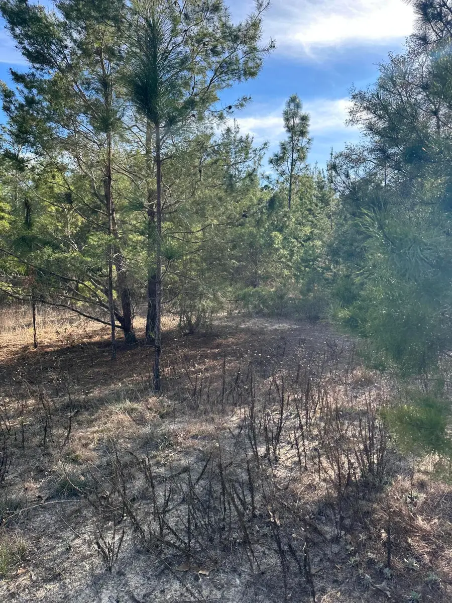 5225 Kimp Road, Crestview, FL 32539 - #2