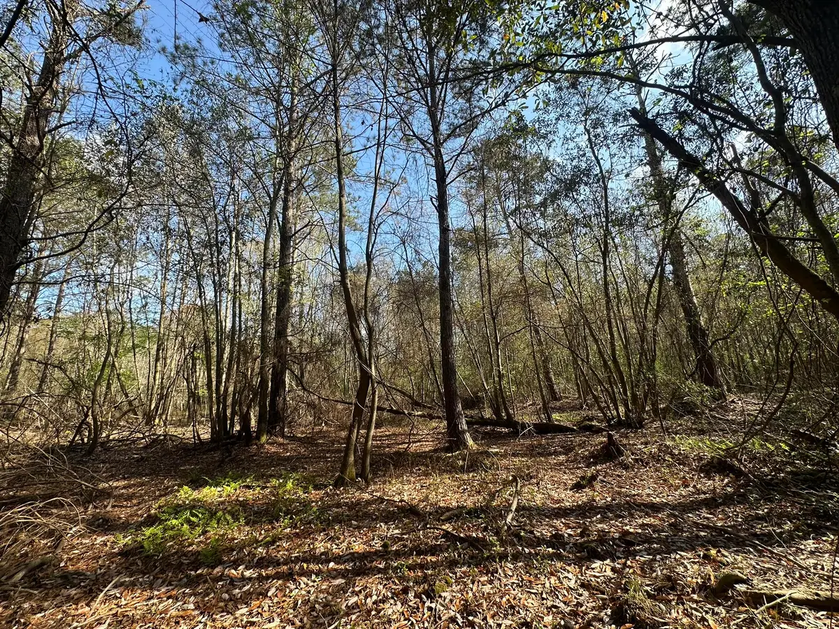 Lot E Snider Avenue, Other, AL 00N/A - #1