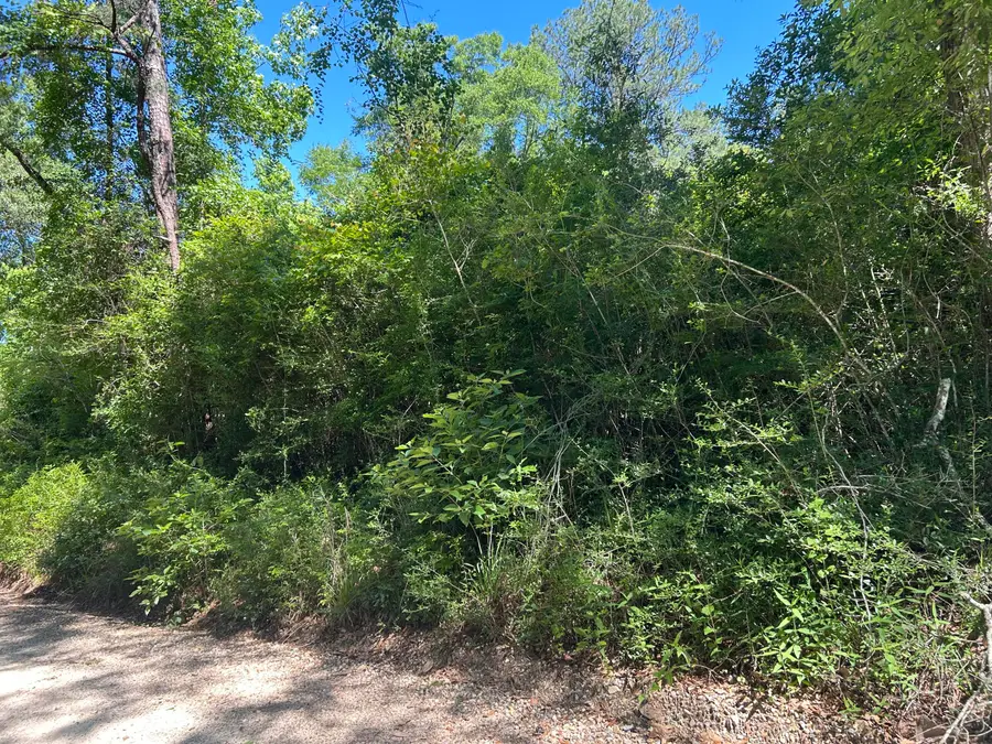 1793 Paladine Lane, Westville, FL 32464 - #2