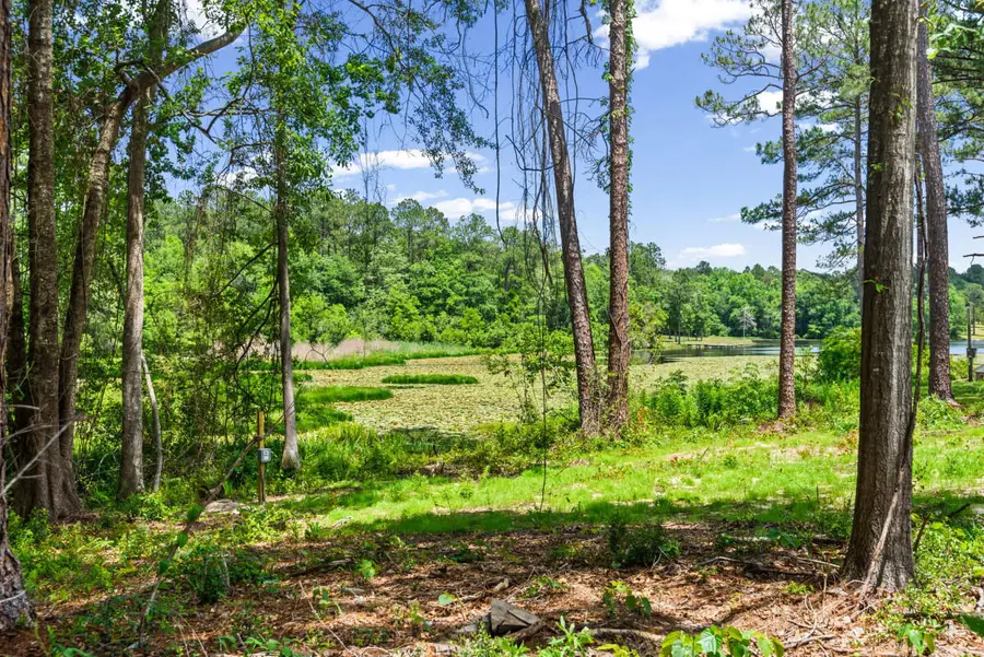 699 Pinewood Drive, Defuniak Springs, FL 32433 - #2