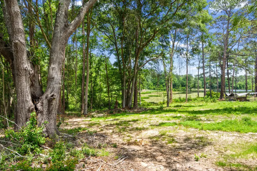 699 Pinewood Drive, Defuniak Springs, FL 32433 - #3