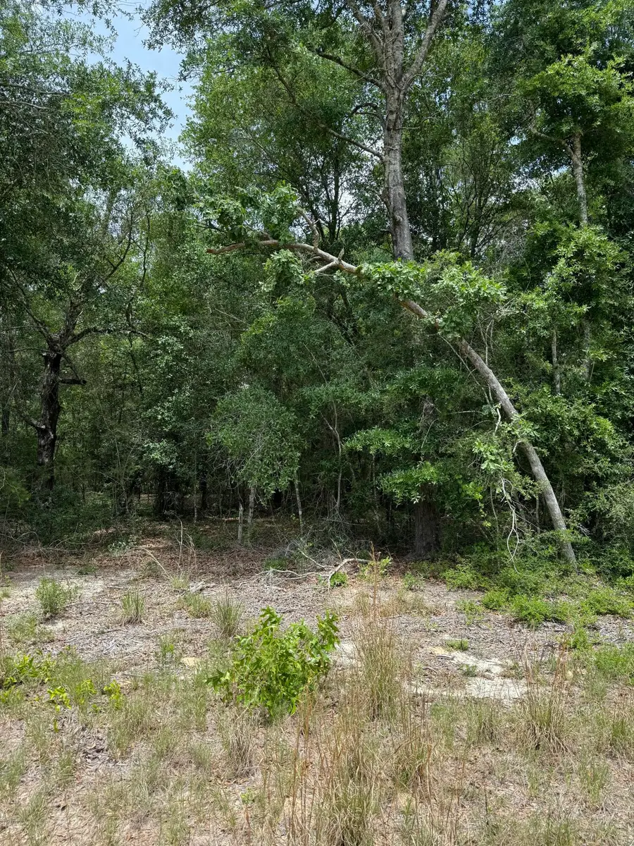 tbd Christopher Lane, Crestview, FL 32539 - #3