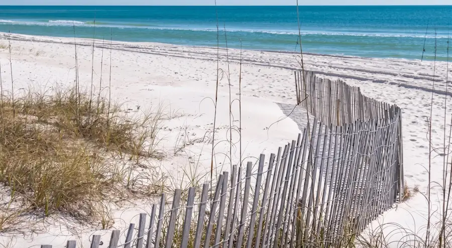 # Holly Leaf Lane, Inlet Beach, FL 32461 - #3