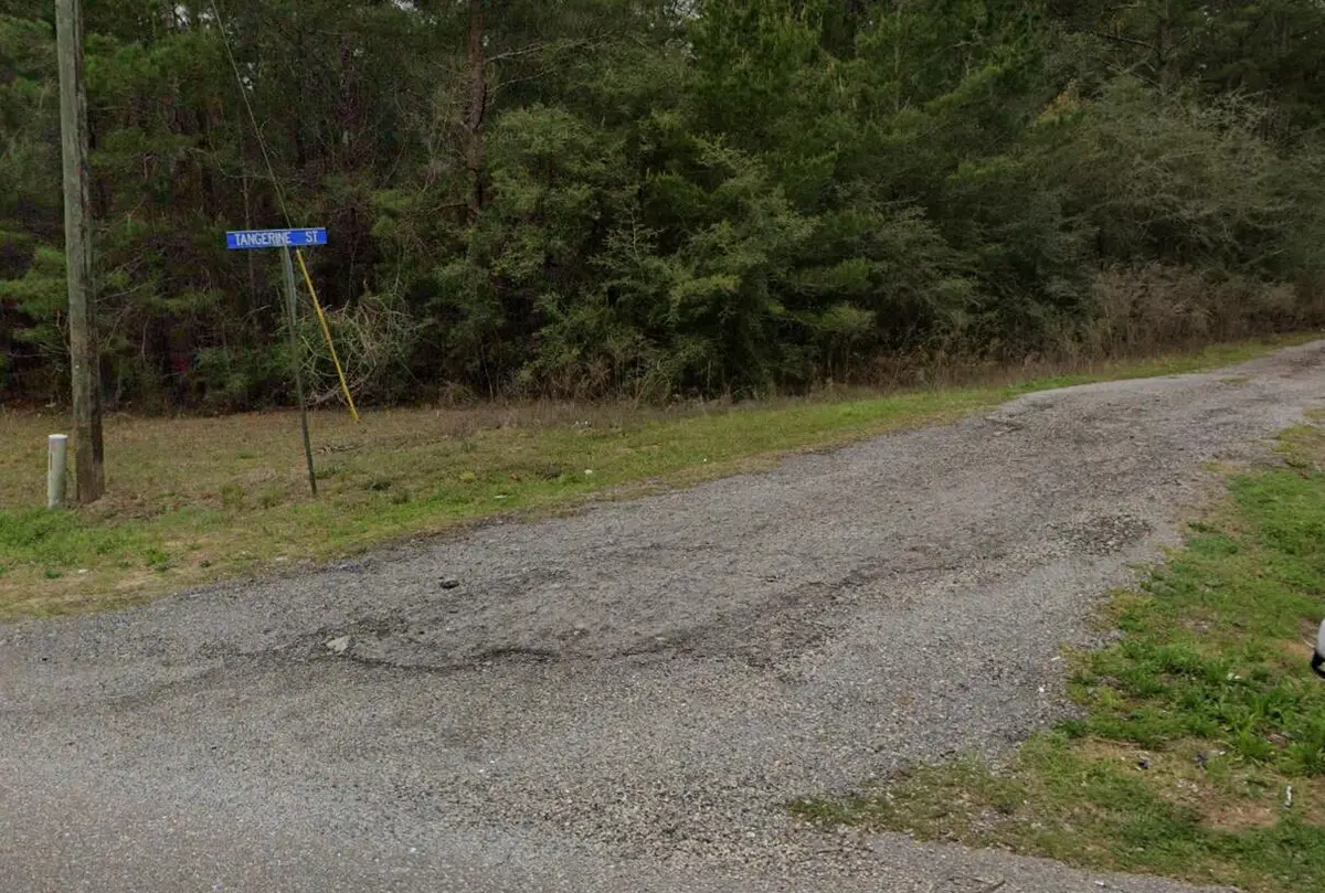 Lots 18-22 Tangerine, Defuniak Springs, FL 32433 - #1