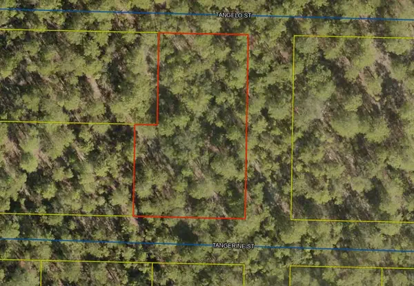 Lots 42-50 Tangerine Street, DeFuniak Springs, FL 32433