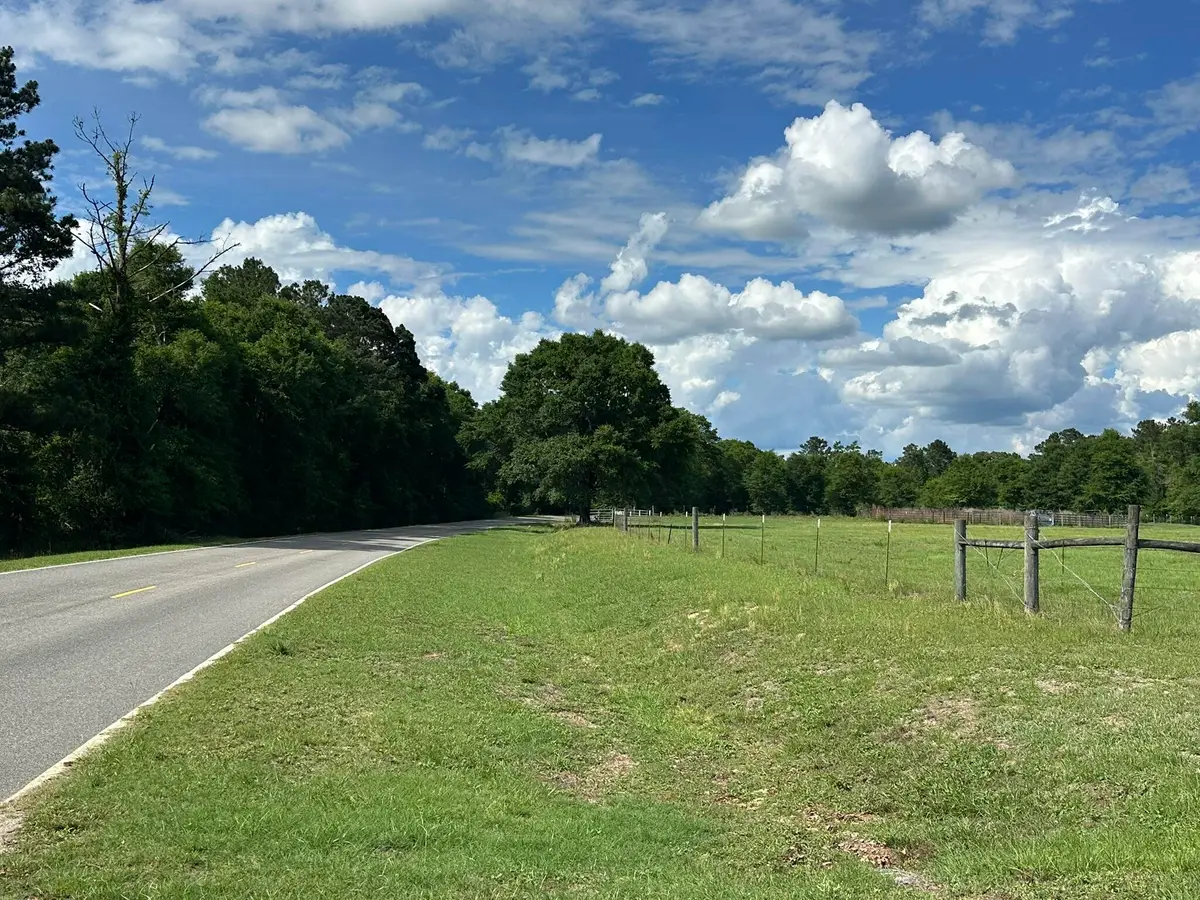 A1 Gomillion Road Road, Florala, AL 36442 - #1