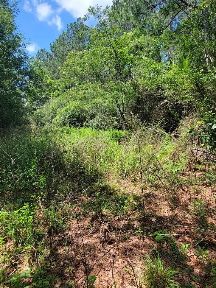 0 Melton Road, Baker, FL 32531 - #2