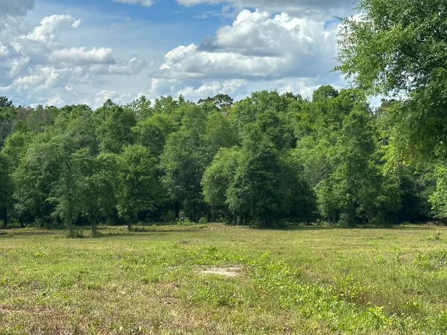 A & D County Road 20 / New Ebenezer Road, Florala, AL 36442 - #3