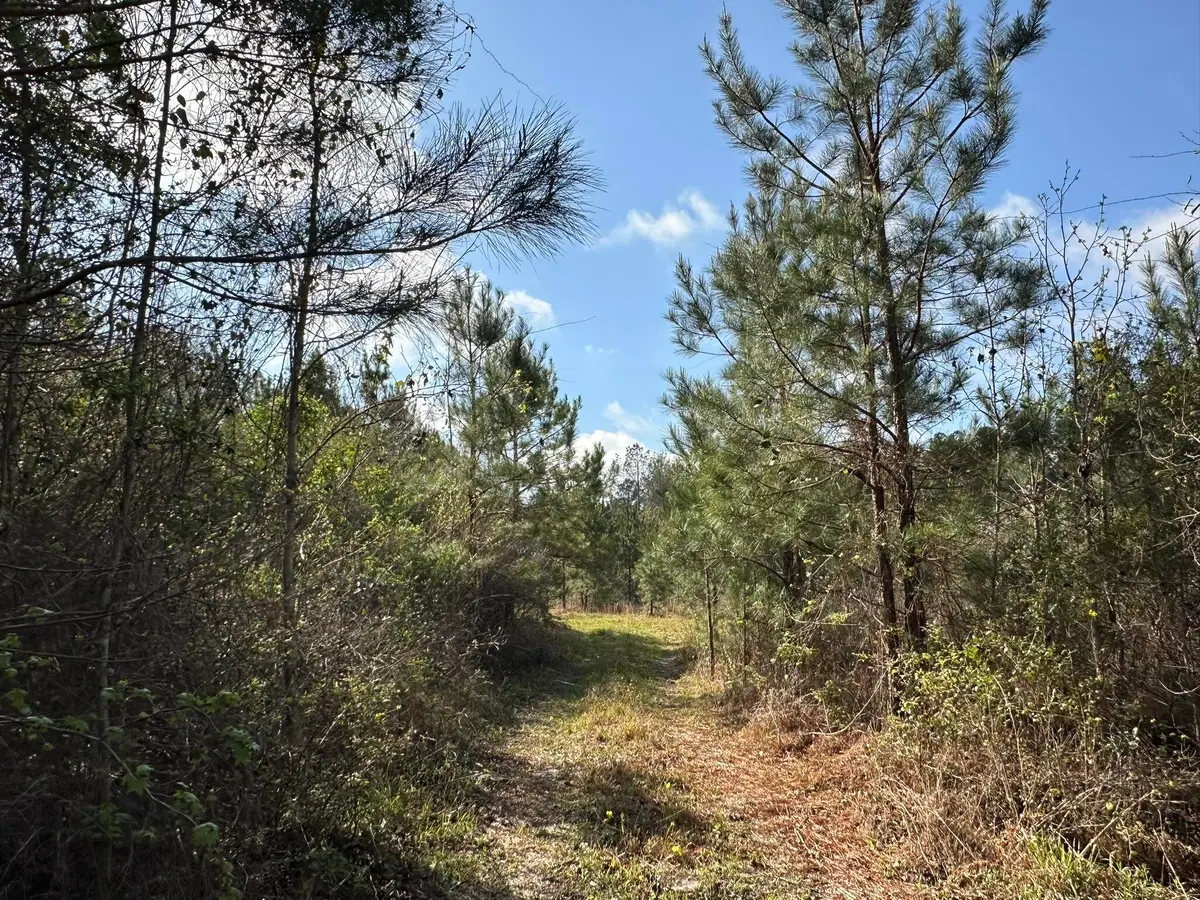 15.5+/-AC Snider Avenue, Other, AL 00N/A - #1