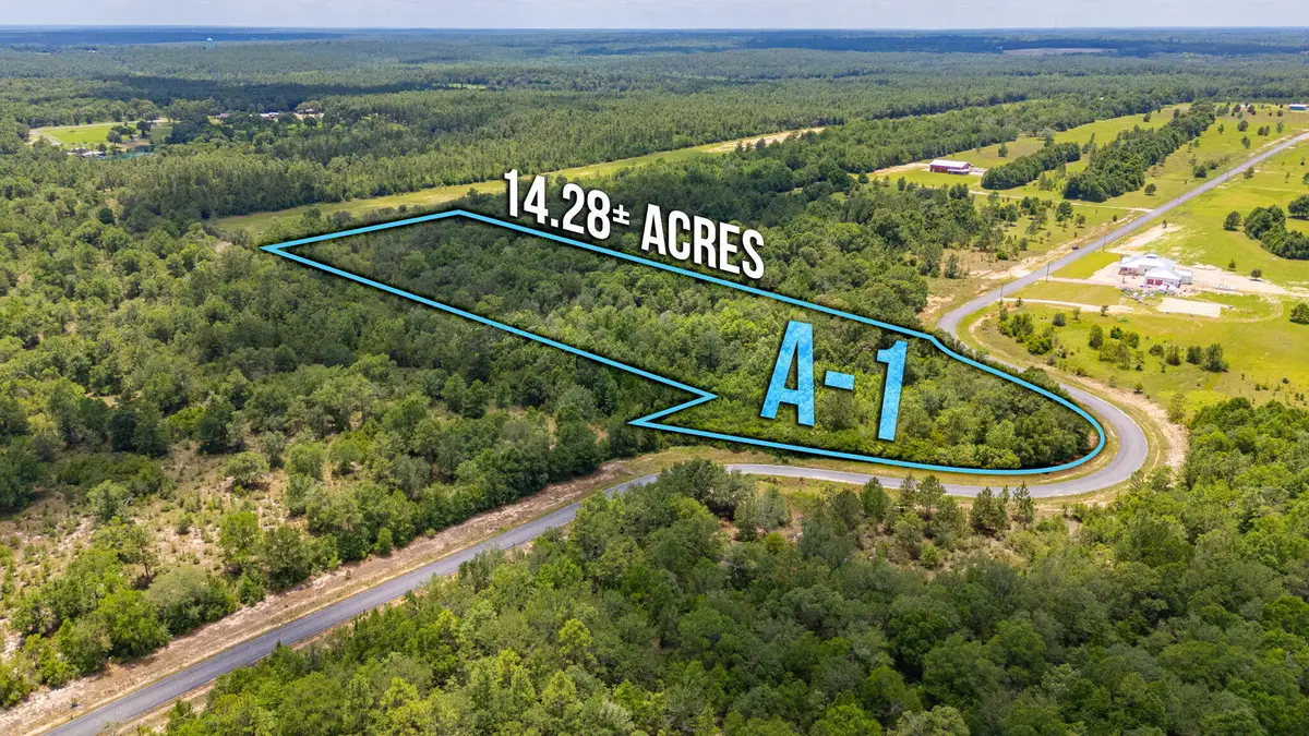 A-1 Long Branch Farm Road, Baker, FL 32531 - #1