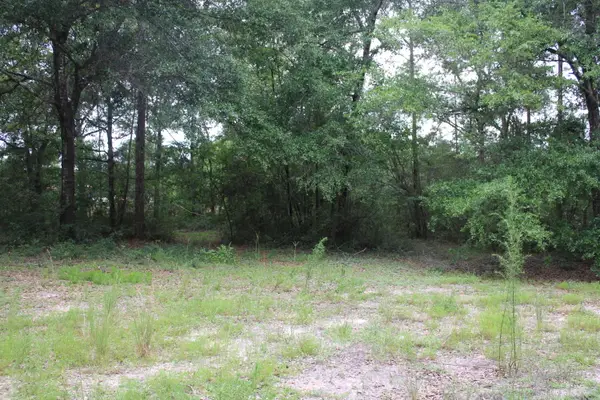 TBD Simpson, DeFuniak Springs, FL 32433