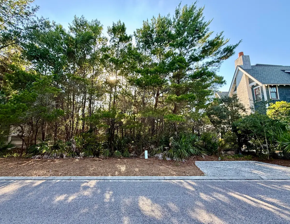 XX Coppersmith Lane, Inlet Beach, FL 32461 - #1