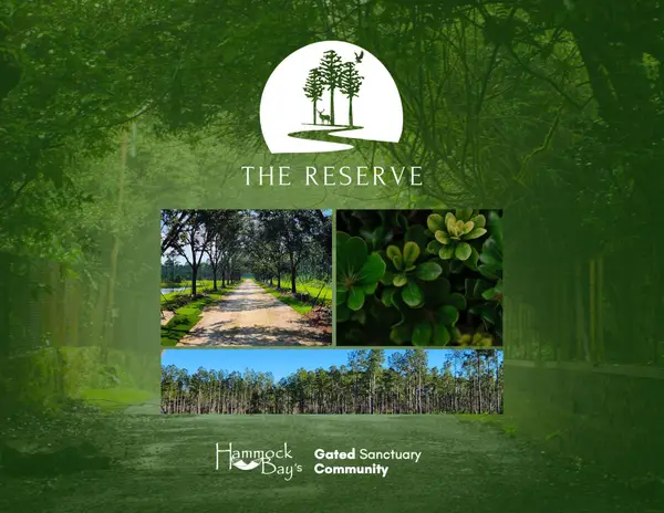 Lot 4A Reserve At Hammock Bay, Freeport, FL 32439