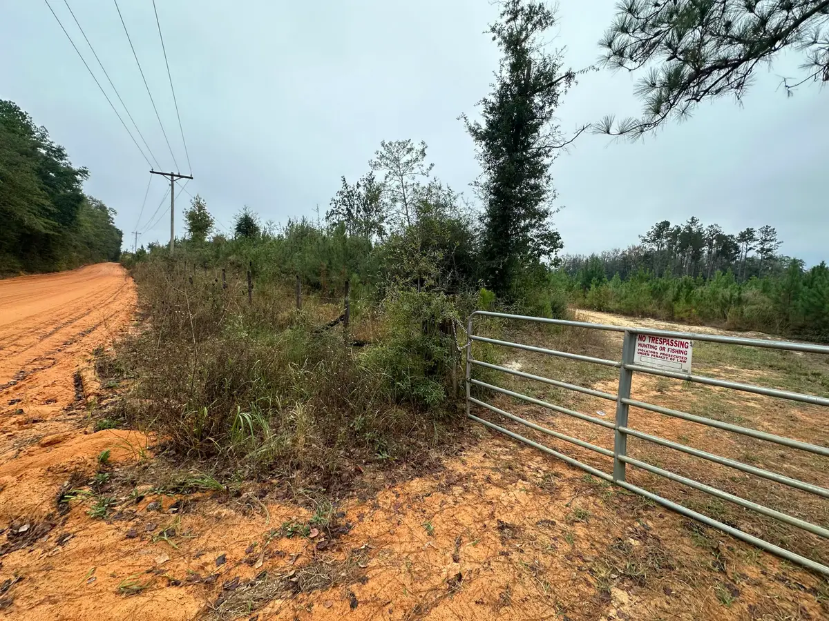 B, D1 & D2 Millside Road, Laurel Hill, FL 32567 - #1