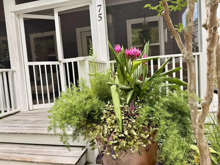 75 Cullman Avenue, Santa Rosa Beach, FL 32459 - #2