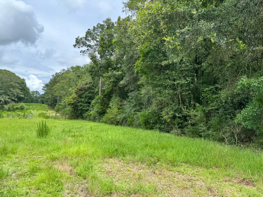 15 acres M & K Ln, Florala, AL 36442 - #2