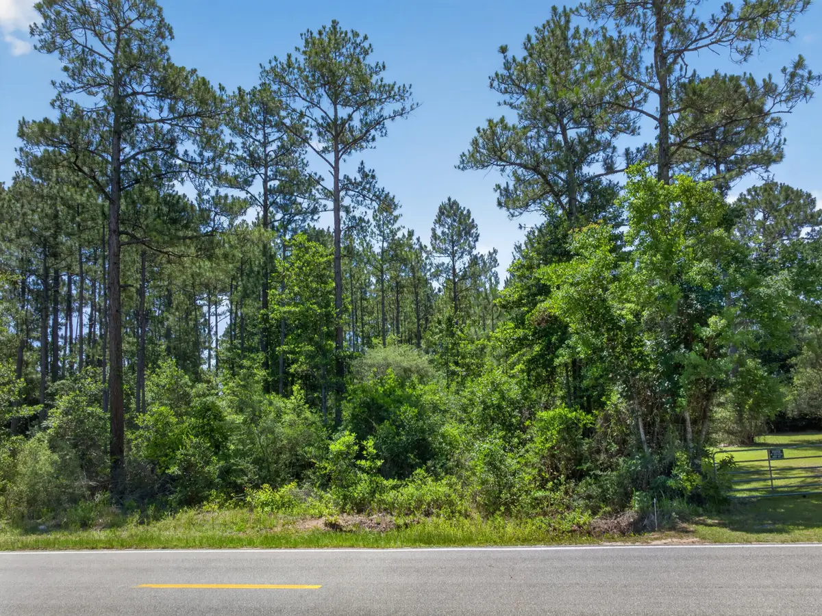 1.31 acres Mary Kitchens Road, Milton, FL 32583 - #1