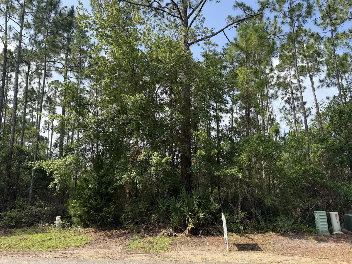 Lot 26 Cox Road, Santa Rosa Beach, FL 32459 - #1
