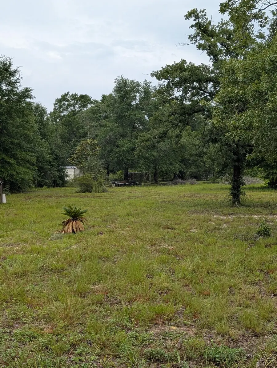 Lot 21 Co Highway 1087, Defuniak Springs, FL 32433 - #2