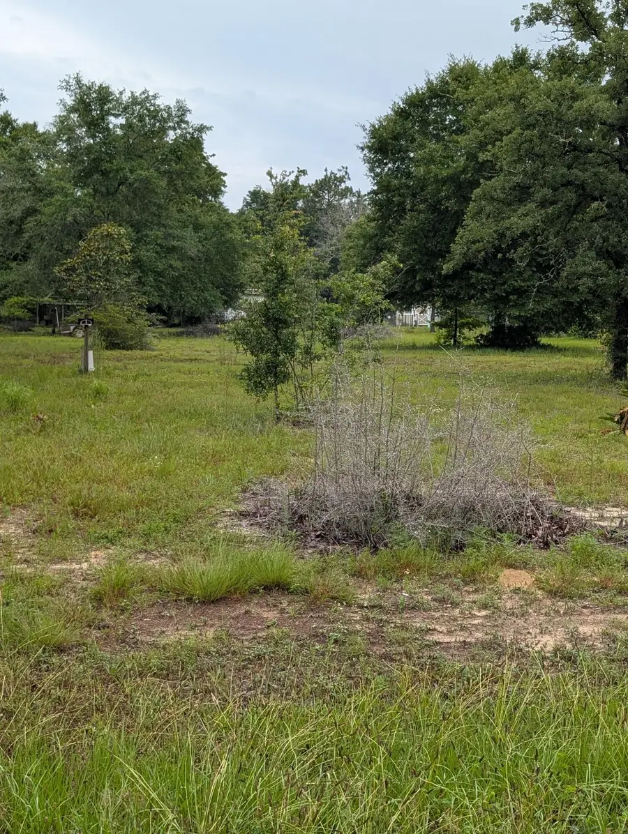 Lot 21 Co Highway 1087, Defuniak Springs, FL 32433 - #3