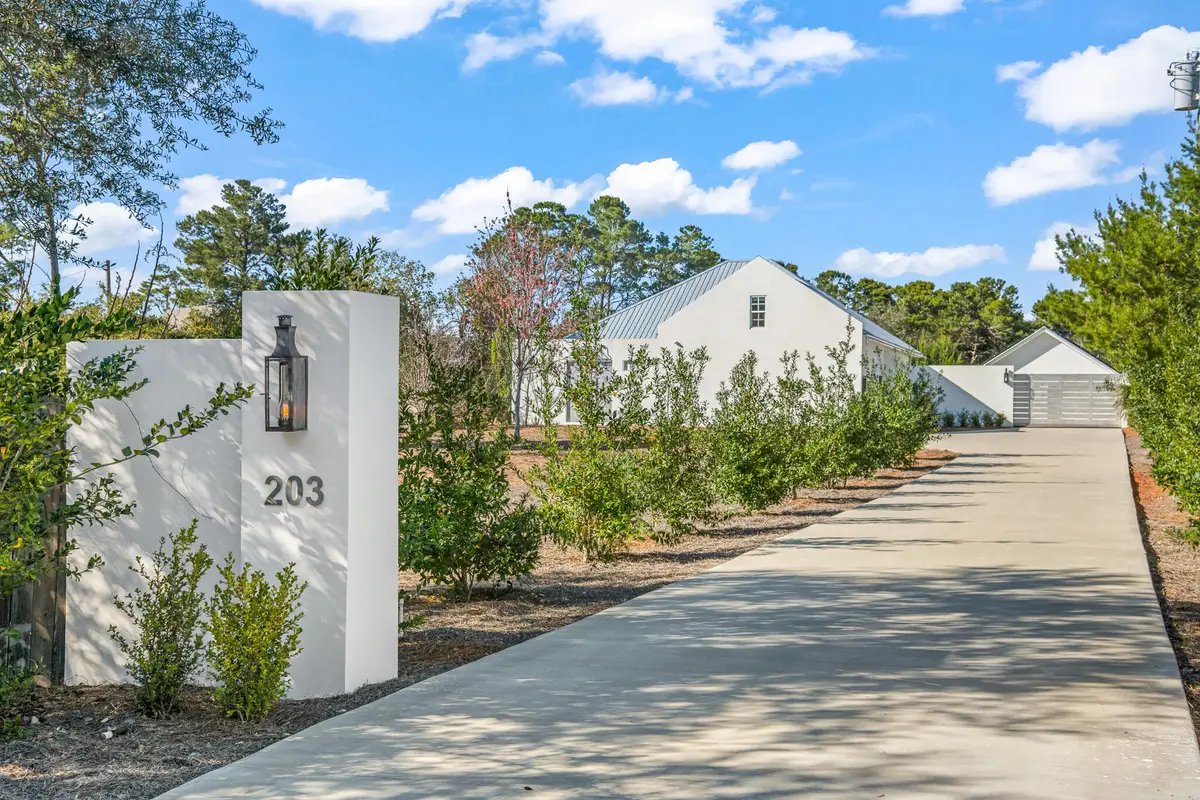 203 Carson Lane, Inlet Beach, FL 32461 - #1