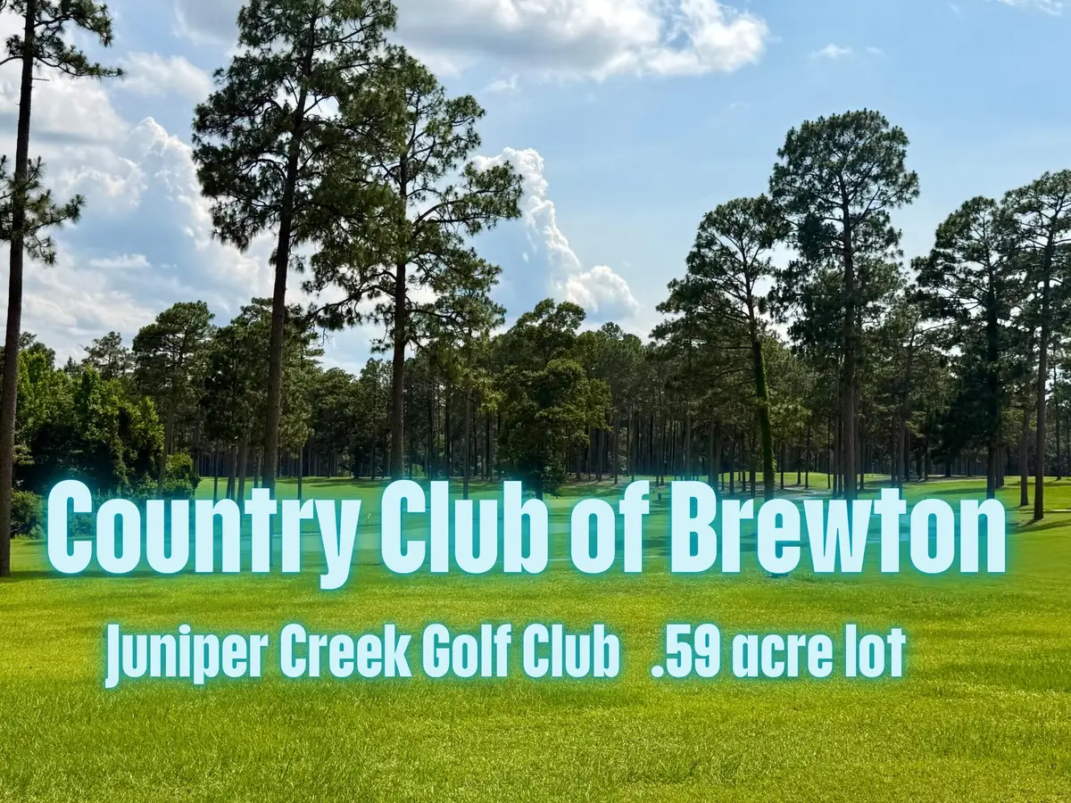 41 Juniper Creek Drive, Other, AL 00N/A - #1