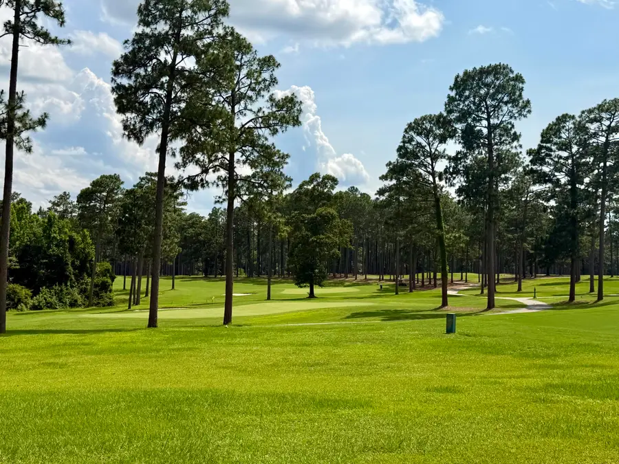 41 Juniper Creek Drive, Other, AL 00N/A - #3