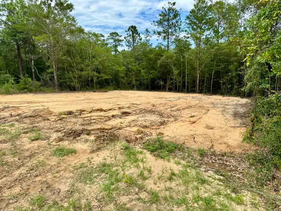 Lot 8 Trout Drive, Defuniak Springs, FL 32433 - #2