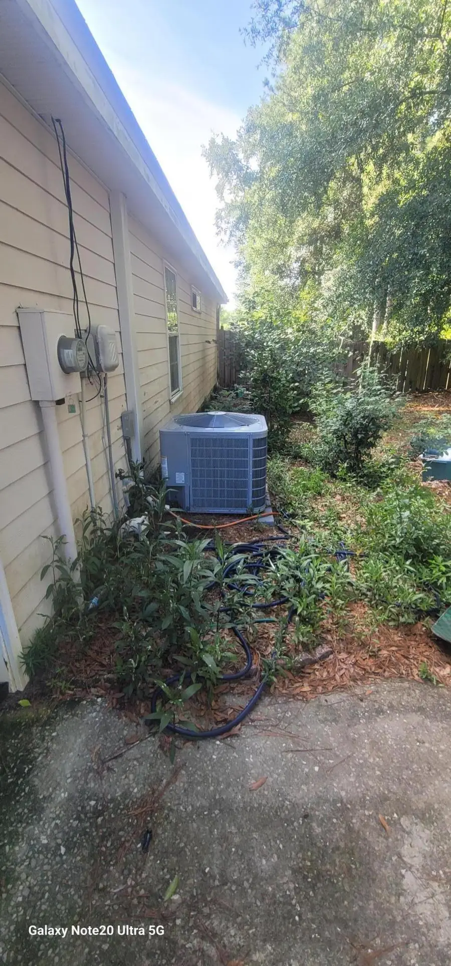 10 Cardinal Court, Crawfordville, FL 00N/A - #3