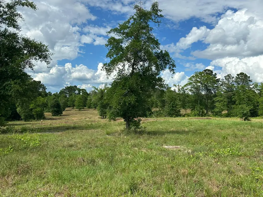 B & D County Road 20 / New Ebenezer Road, Florala, AL 36442 - #2