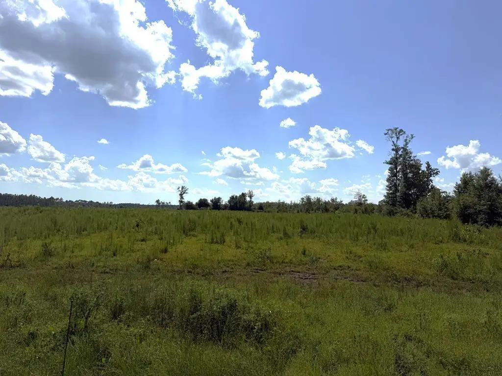 Lot 2 Hwy 71 S, Wewahitchka, FL 32465 - #1