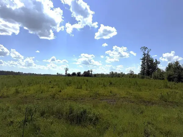 Lot 2 Hwy 71 S, Wewahitchka, FL 32465