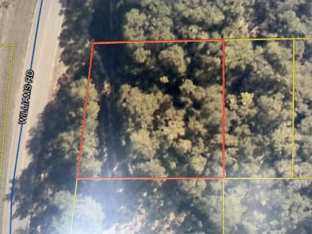 0 Williams Road, Defuniak Springs, FL 32433 - #1