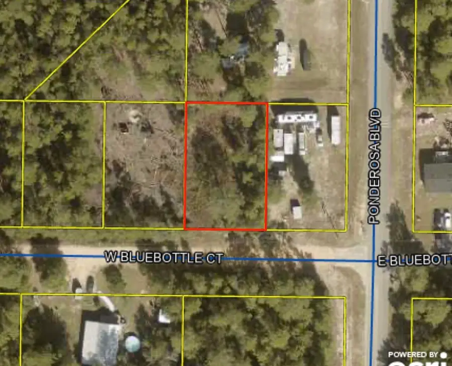 2 W Bluebottle West Court, Defuniak Springs, FL 32433 - #3