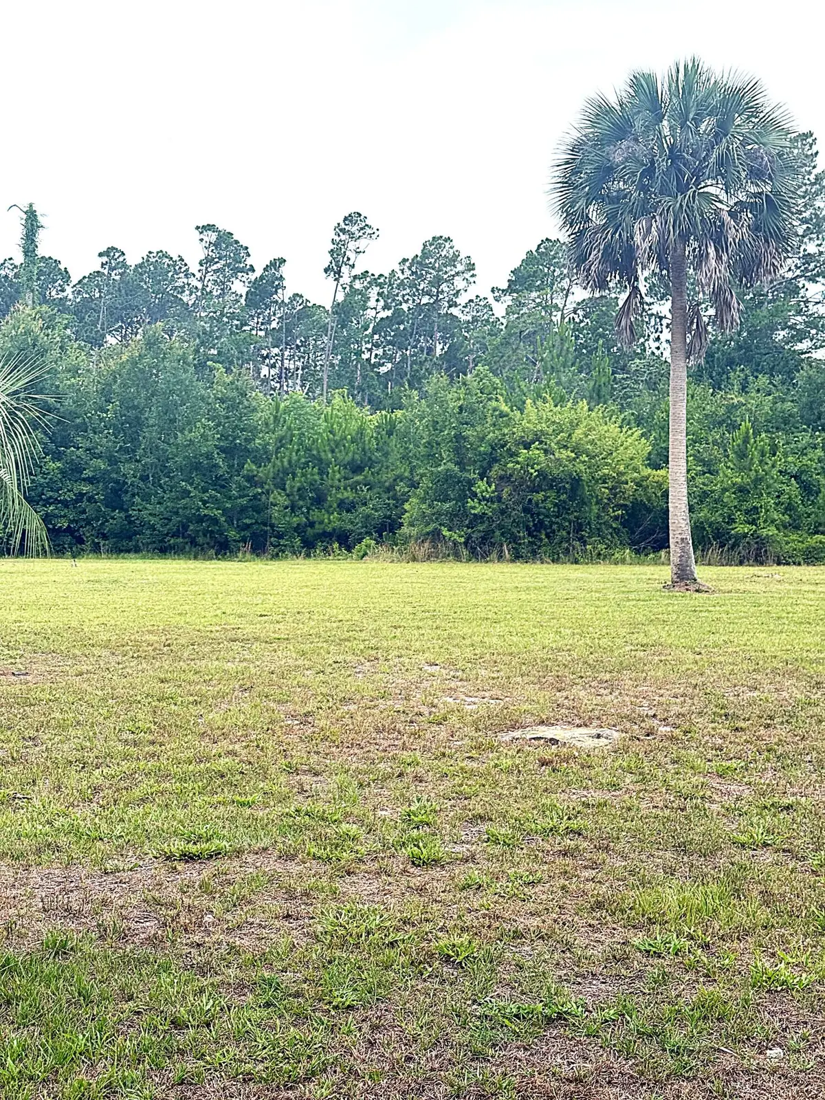 Lot 4 Oak Grove Avenue, Port Saint Joe, FL 32456 - #1
