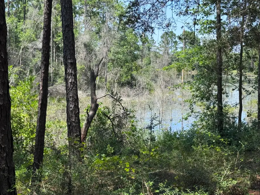 1154 Oakwood Lakes Boulevard, Defuniak Springs, FL 32433 - #3