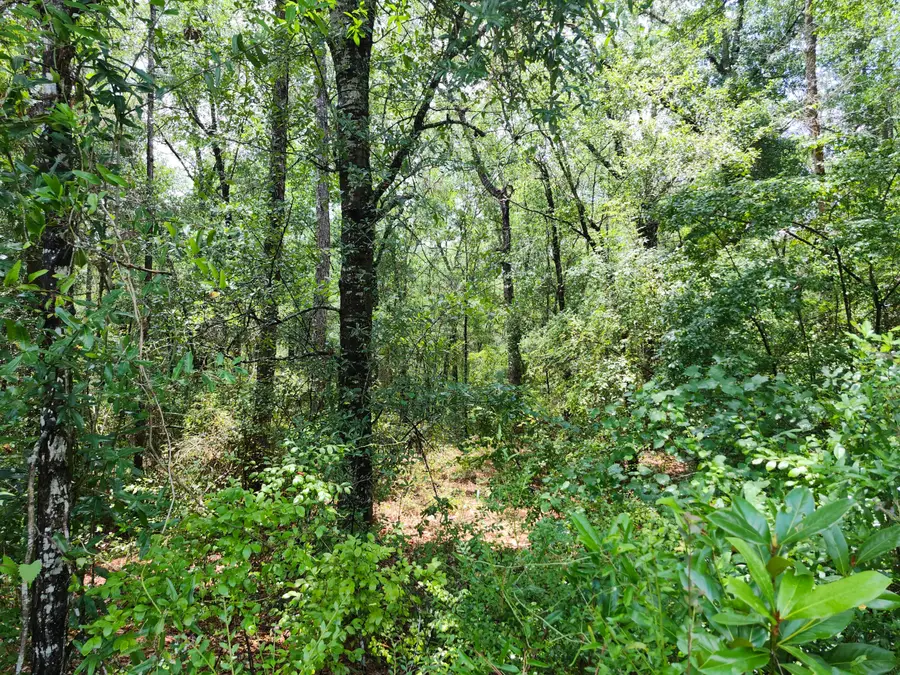 30 Acres Old Airport Road, Defuniak Springs, FL 32433 - #2