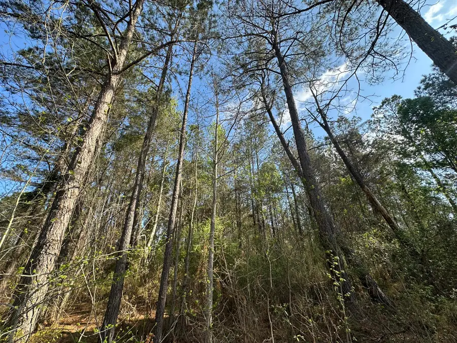1.1+/- AC Snider Avenue, Other, AL 00N/A - #3