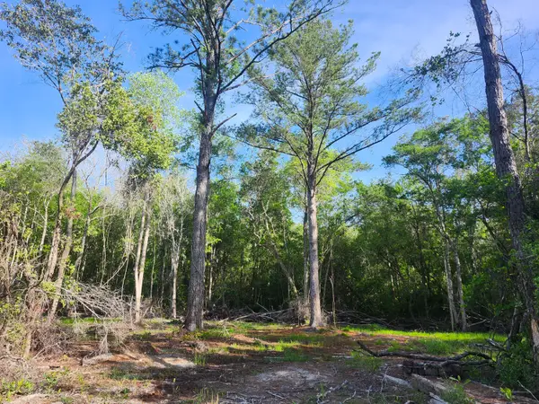 TBD Plantation Lane, DeFuniak Springs, FL 32433