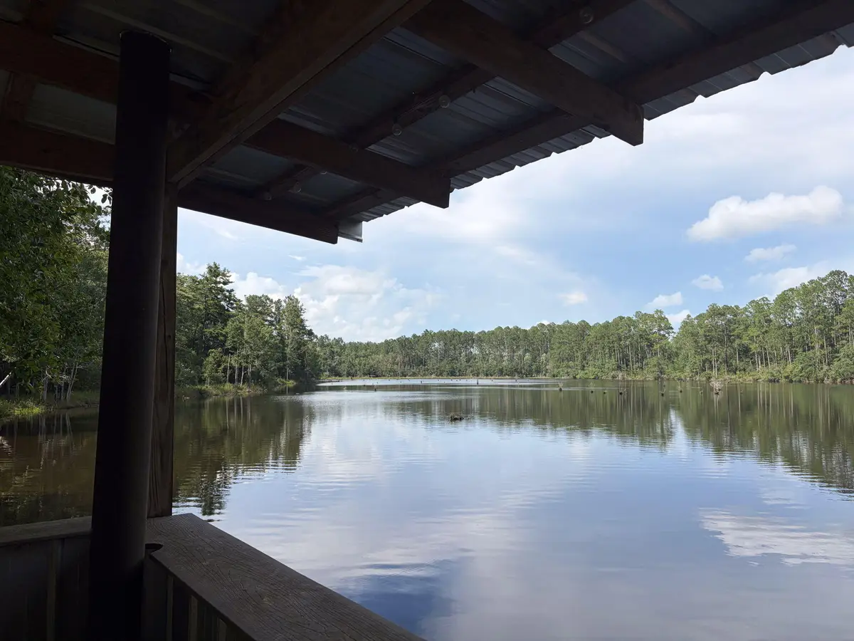 82 acres 4 Flags Road, Laurel Hill, FL 32567 - #1