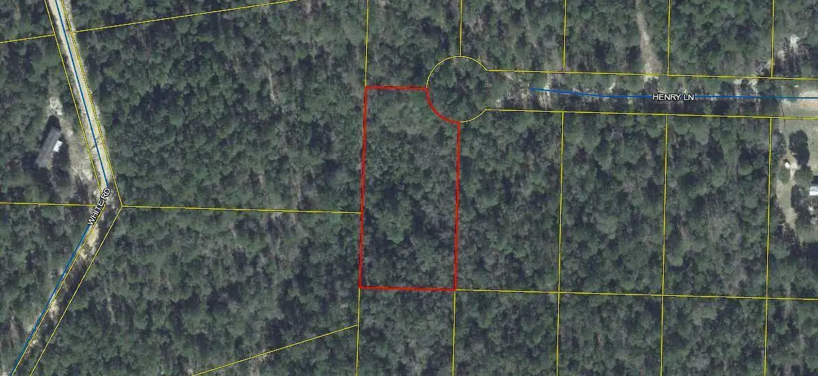 Lot 1 Henry Lane, Defuniak Springs, FL 32433 - #1